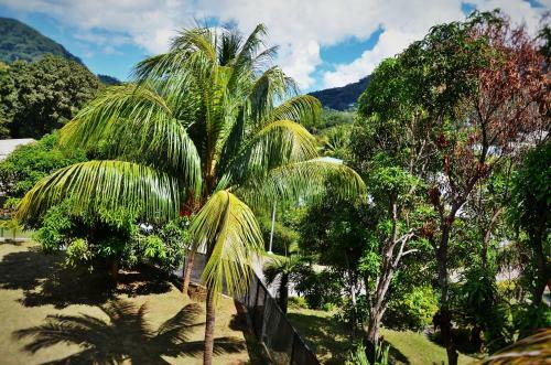 The Cove Holiday Apartment