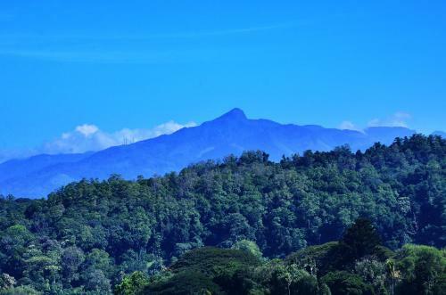 Hostal Kandyan White Holiday Homes