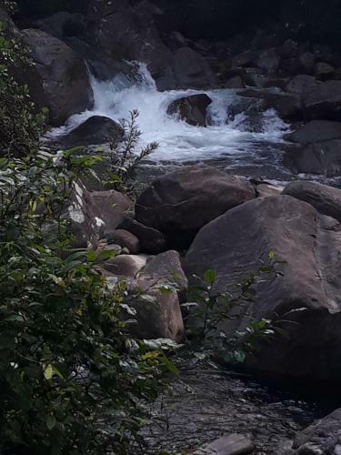 Hotel Girankiththa Eco Resort