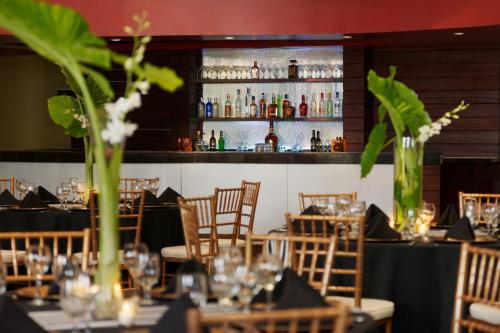 Hotel Embassy Suites Dorado Del Mar Beach & Golf Resort
