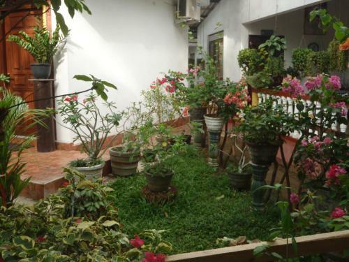 Bed & Breakfast New Jaya Villa