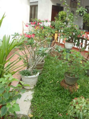 Bed & Breakfast New Jaya Villa