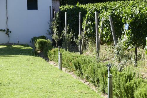 Agroturismo Laibach Vineyards
