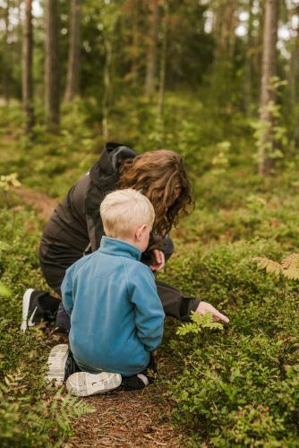 Duse Udde Camping