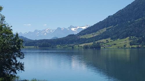 Apartamento Chalet Helvetia