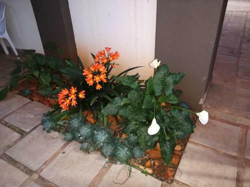 Hostal Rose Garden Overnight Stay
