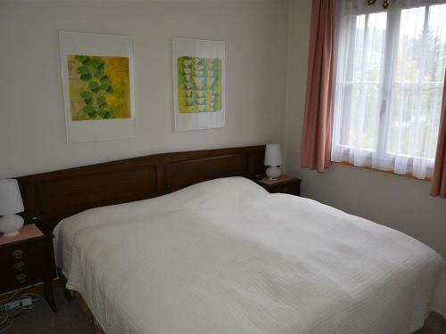 Apartment Oberland Nr. 29