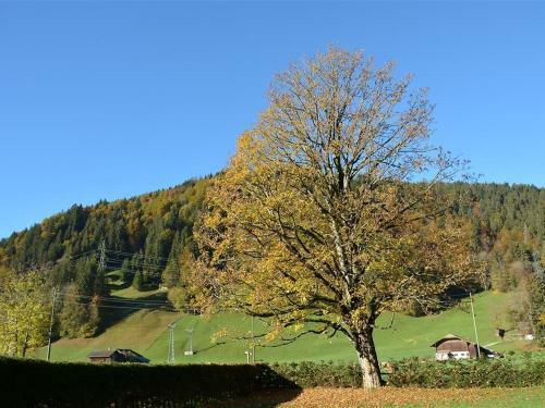Apartment Oberland Nr. 29