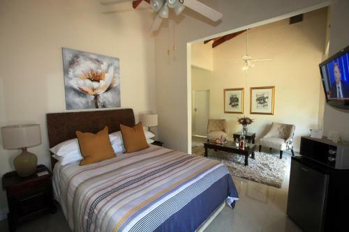 Bed & Breakfast Andante Lodge