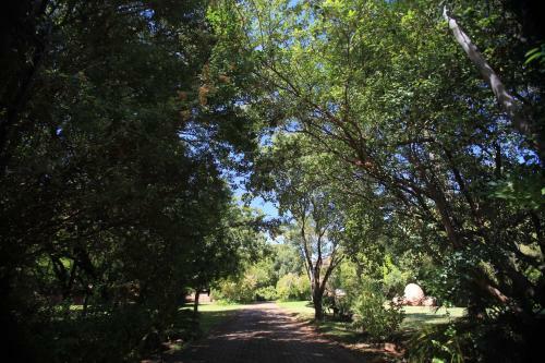 Bed & Breakfast Andante Lodge