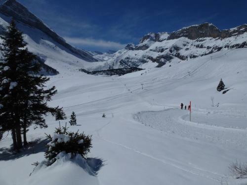 Apartamento Ferienwohnung Chalet Bergblume