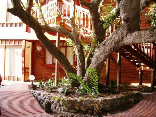 Apartamento Beachville Wilderness