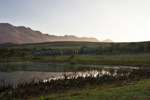 Villa Swartberg Private Game Lodge