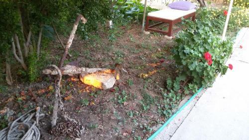 Askim Pension