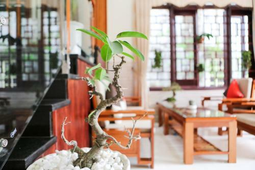 Hostal Viet Nhat Homestay