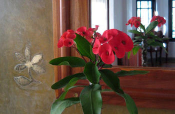 Villa Sandalwood