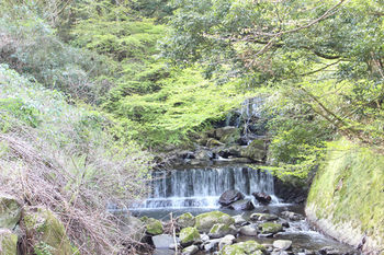 Hakone Guest House Toi - Hostel