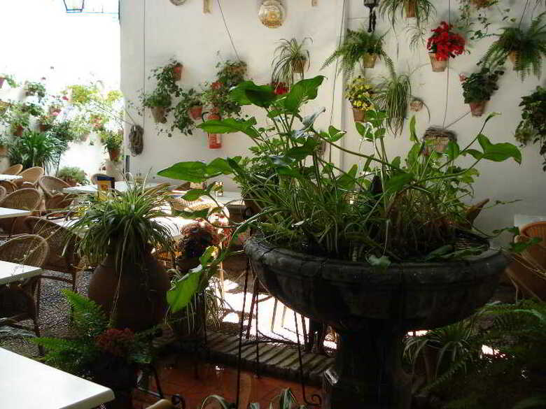 Hotel Los Patios