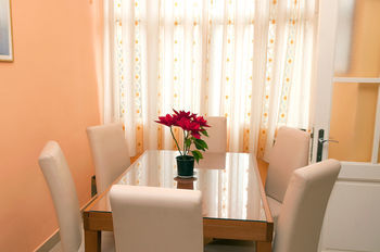 Apartments Gajeta