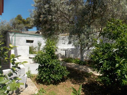 Hostal Guest House Vila Bega