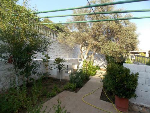 Hostal Guest House Vila Bega