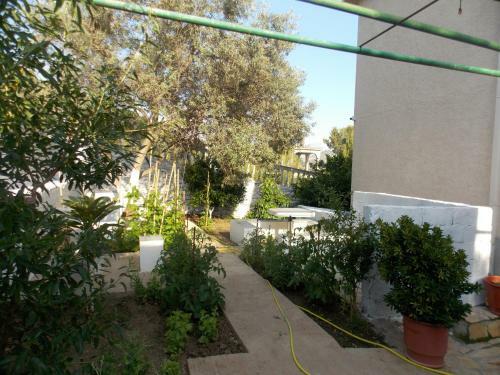 Hostal Guest House Vila Bega
