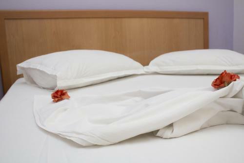 Hostal Guest House Tirana