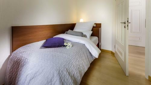 Apartamento Villa Aesculap By Rujana