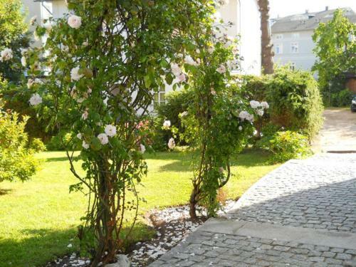 Apartamento Villa Monique In Alt-sassnitz