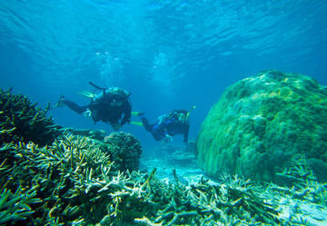 Hotel Heron Island Resort