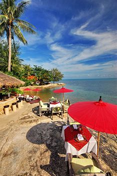 Hotel Rocky's Boutique Resort