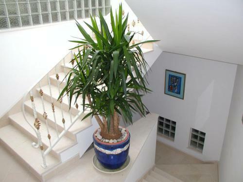 Adriatic Apartment Neum