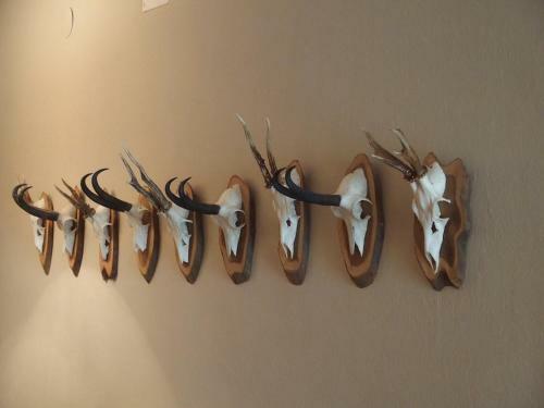 Bed & Breakfast Pension Alpenhof