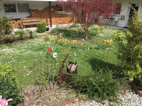 Innsbruck Apartment Nigler