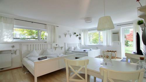 Innsbruck Apartment Nigler