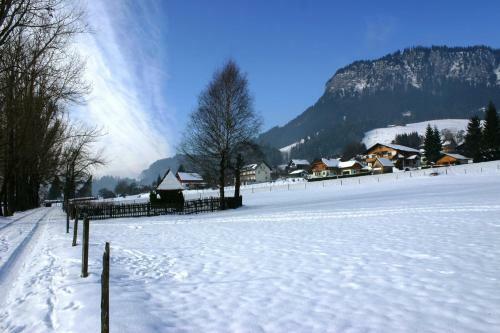 Apartamento Appartement Edelweiss