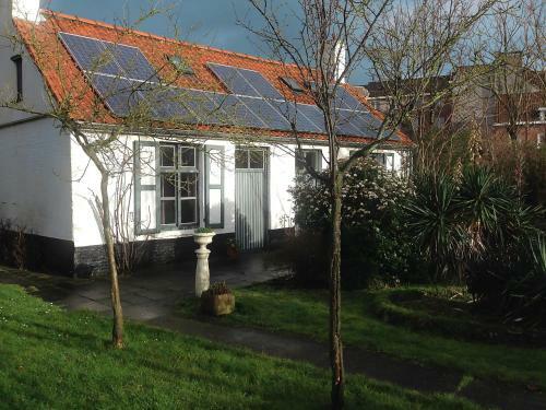 Blauwvoet