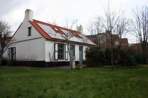 Blauwvoet