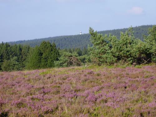 Hostal Haus Kesper-br�nen