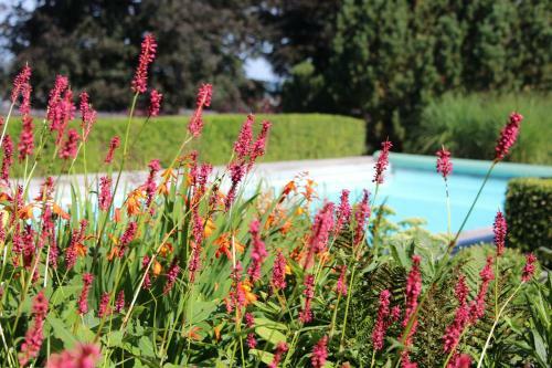 Bed & Breakfast Chambre D'h�tes Citabel'air