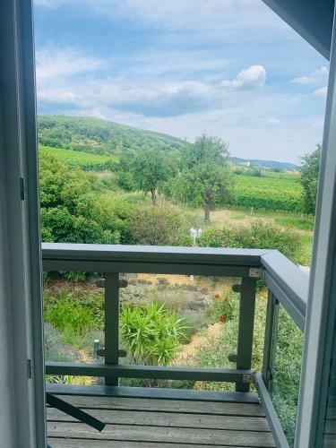 Hostal G�stehaus-weingut Helbighof