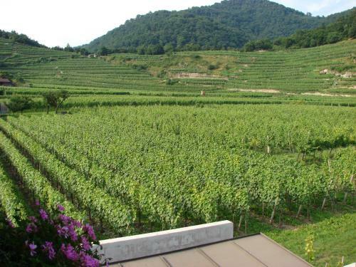 Hostal G�stehaus Ruinenblick