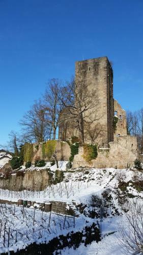 Apartamento Winzerhof Unter Der Yburg