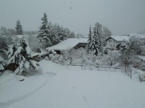 Hostal G�stehaus Frischhut