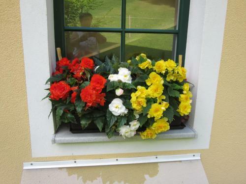 Apartamento Haus Margarete