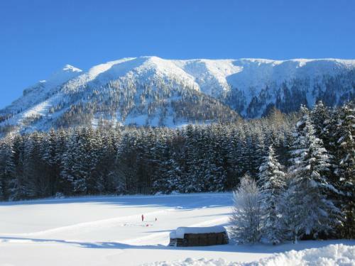 Apartamento Haus Margarete