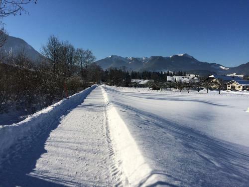 Apartamento Ferienwohnungen Beim Zellerb�ck