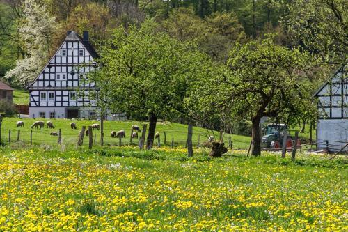 Hostal Landgasthof Gilsbach