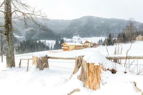 Hotel Gasthof Wachter