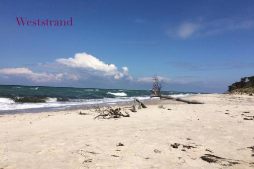 Apartamento Ferienwohnung Strandgut